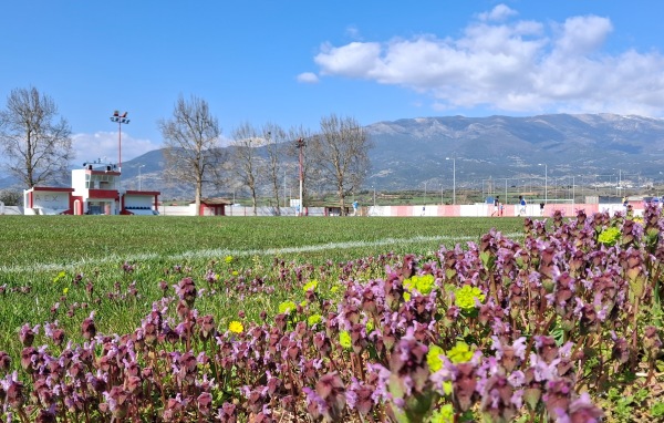 Gipedo Chrysou - Chryso