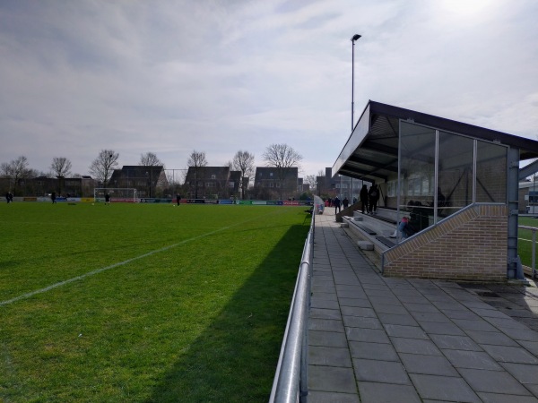Sportpark Vierkantsdijk - Harlingen