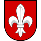 Wappen TJ Sokol Čechtice