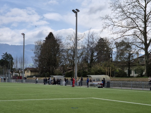 Stade des Fraisiers - Grand-Lancy