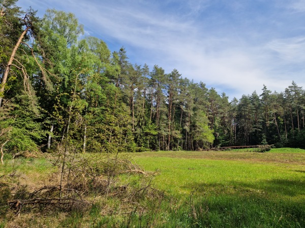 Waldsportanlage - Lauf/Pegnitz-Neunhof