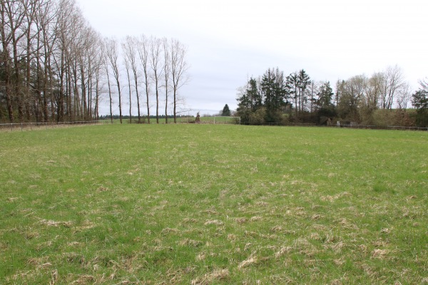 Sportplatz Schüller - Schüller