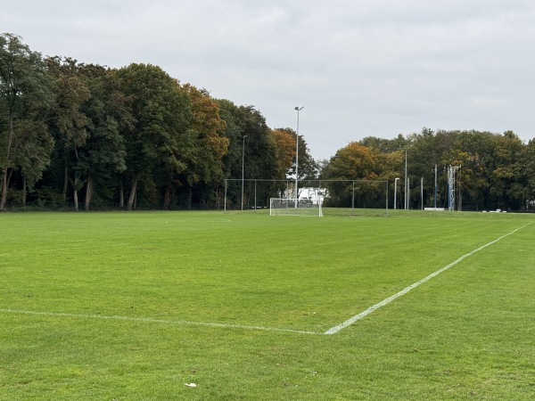 Sportpark Wesselerbrink Midden veld A - Enschede