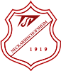 Wappen TSV Neckarbischofsheim 1919