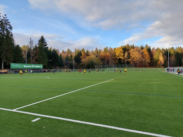 Brauerei-Elf Stadion - Weilheim/Baden-Remetschwiel
