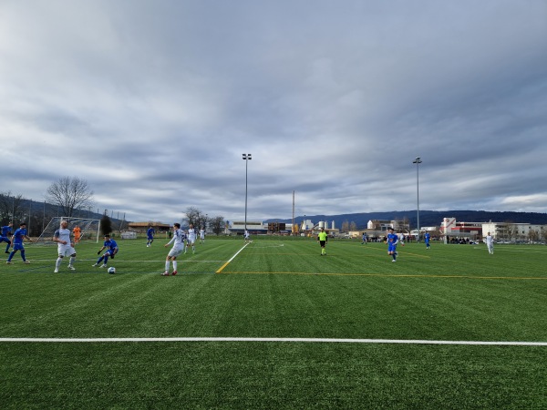 Sportanlage Wisacher Platz 7 - Regensdorf