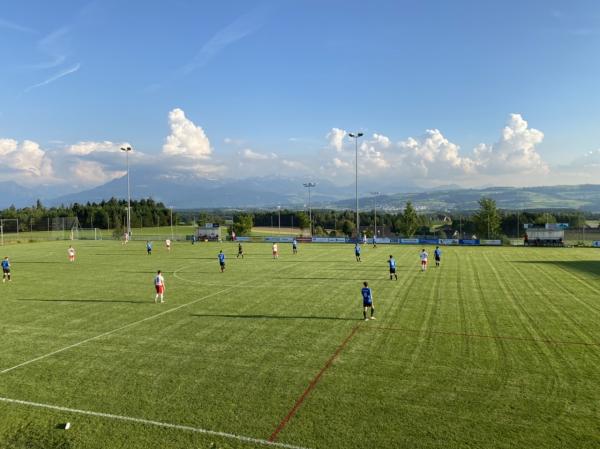 Raiffeisen-Arena Bogenhüsli Nebenplatz - Hildisrieden