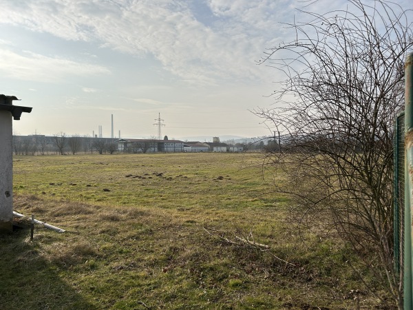 Waldsportplatz (alt) - Elsenfeld