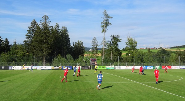 Tischlerei Grömmer Stadion - Sankt Roman