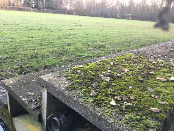 Sportplatz Heidestraße - Selfkant-Süsterseel