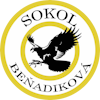 Wappen TJ Sokol Beňadiková  128125