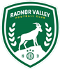 Wappen Radnor Valley FC  100074
