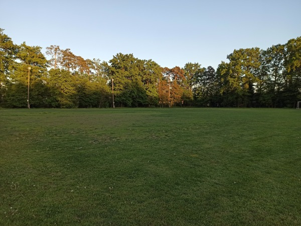 Waldstadion Nebenplatz 2 - Weingarten/Baden-Waldbrücke