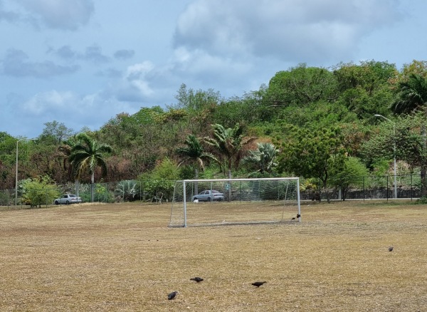 Deighton Griffith School Ground - Oistins