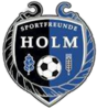 Wappen SF Holm 2017  107384