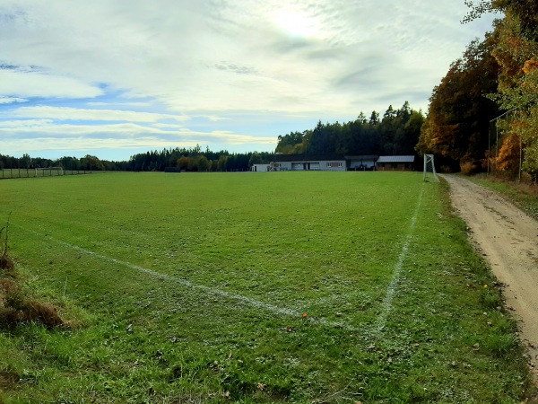 Hřiště TJ Svornost Hvozd - Dražen-Bažantnice