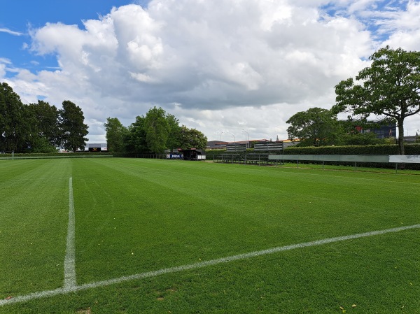 Gower Park - Hamilton