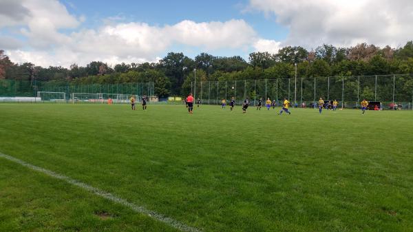 Stadion am Heiderand Nebenplatz - Halle/Saale-Nietleben