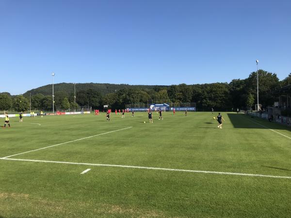 Sportpark Grütt Platz 3 - Lörrach