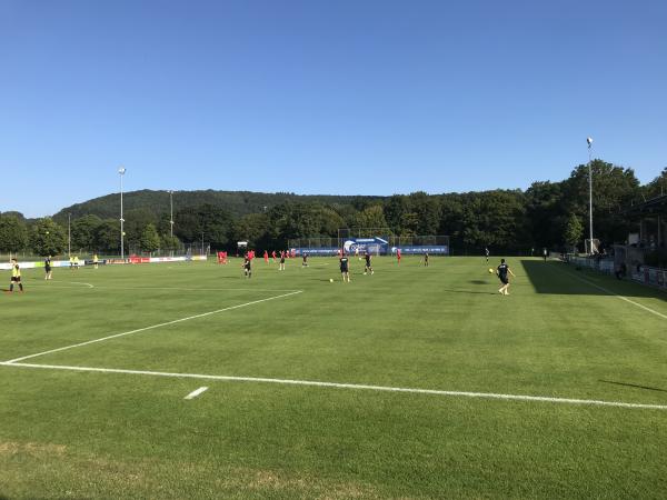 Sportpark Grütt Platz 3 - Lörrach