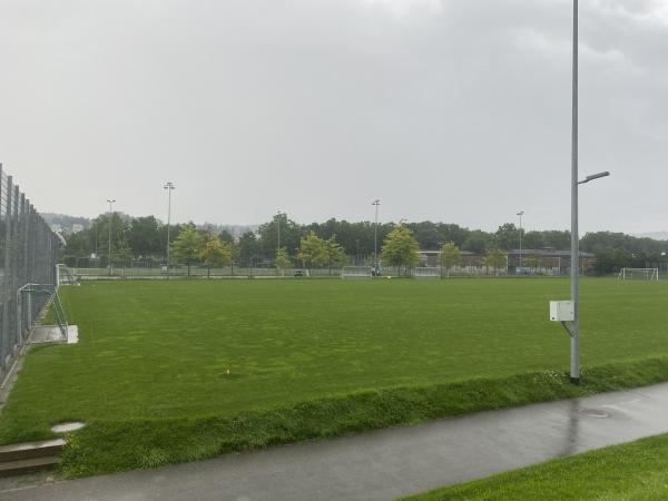 Sportanlage Juchhof 2 Platz 5 - Schlieren