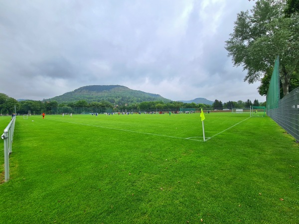 Ernst-Abbe-Sportfeld Platz 7 - Jena