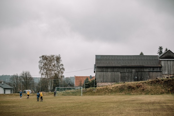 Alter Sportplatz Wildenau - Steinberg/Vogtland-Wildenau