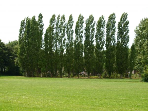 Sportplatz Gesamtschule Gartenstadt - Dortmund-Gartenstadt-Süd