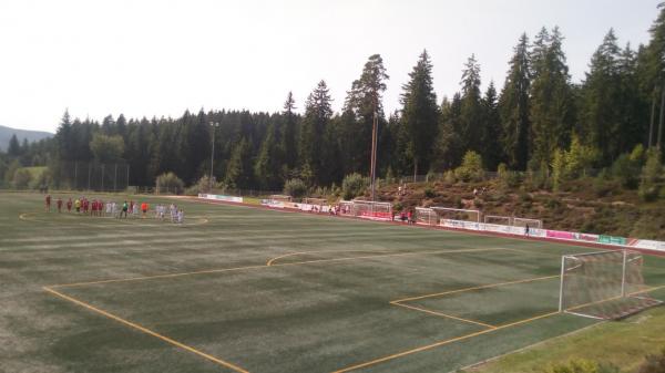 Kurt Hetzel Waldstadion - Schluchsee