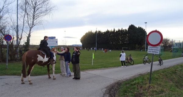 Sportplatz Pillichsdorf - Pillichsdorf