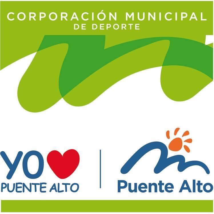 Wappen Deportes Puente Alto  104390