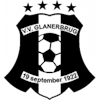 Wappen ehemals VV Glanerbrug diverse  127138