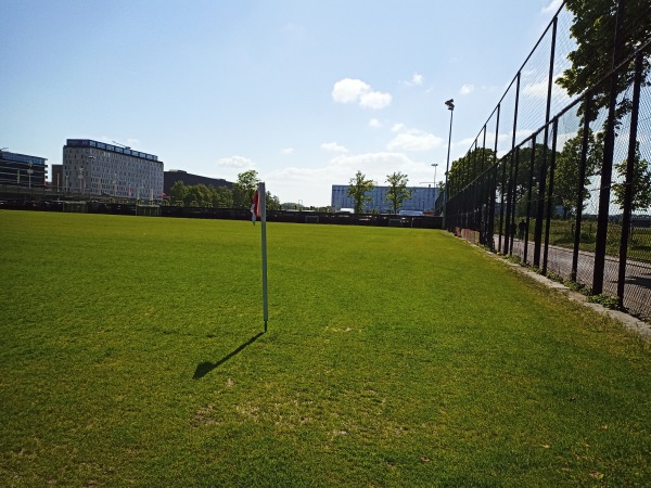 Johan Cruijff ArenA veld 2 - Amsterdam-Duivendrecht