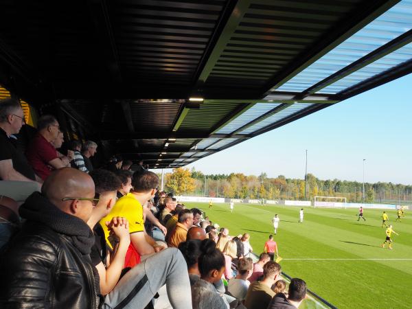 BVB-Fußballpark Hohenbuschei - Dortmund-Brackel