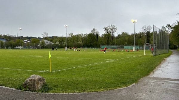 Sportplatz Kräjeninsel - Aarberg