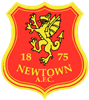 Wappen Newtown AFC