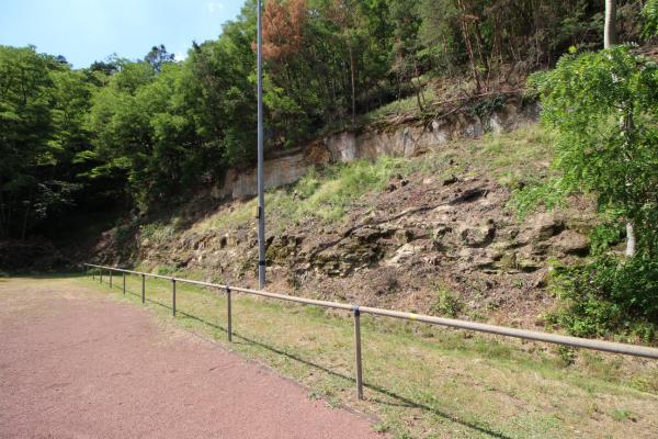 Sportplatz in der Mandel - Weisenheim/Berg