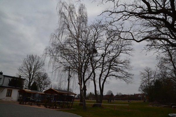 Sportplatz Neuborna - Bernburg/Saale-Neuborna