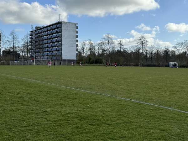 Sportpark De Akkers veld D - Heerenveen