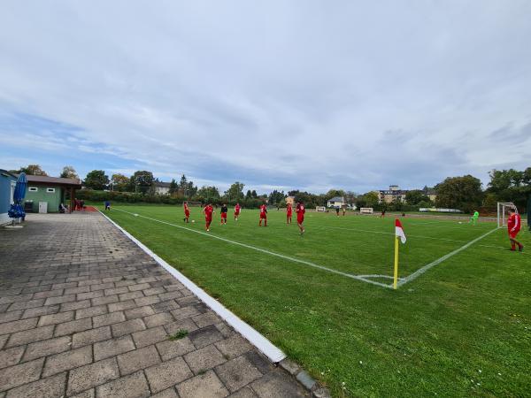 Sportanlage Saaledurchstich - Hof/Saale