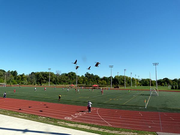 Bill Crothers Turf Centre  - Markham, ON