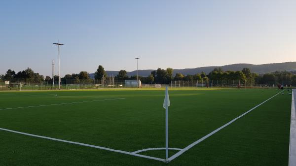 Ernst-Abbe-Sportfeld Platz 4 - Jena