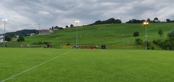 Sportplatz Ifang Nebenplatz - Bazenheid