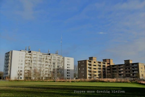 Terrein Zesbunderstraat - Aalst-Arend
