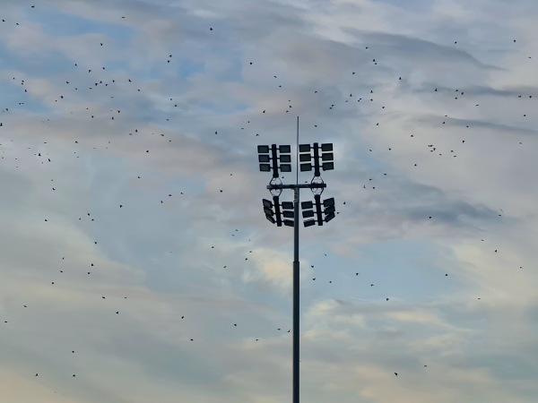 Maardu kunstmuruväljak - Maardu