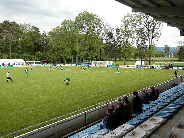 Waldstadion Hard - Hard