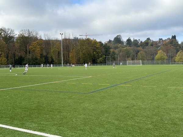 Centre Sportif de Vessy terrain 4 - Veyrier