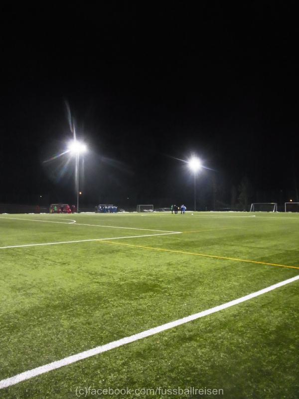 Sportzentrum Marienthal Platz 2 - Zwickau-Marienthal