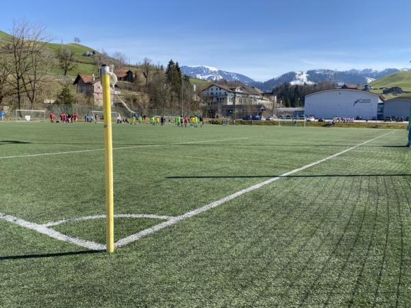 Sportplatz Farbschachen Kunstrasenplatz - Entlebuch