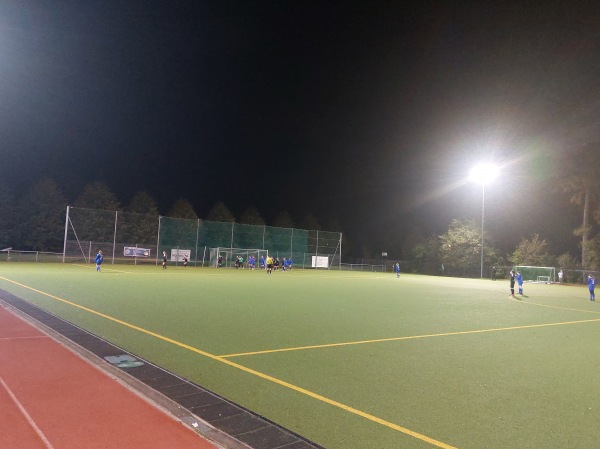 Sportanlage Lechelstraße Platz 2 - München-Hartmannshofen